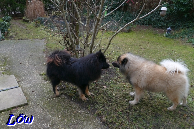 11.12.2025 - Geburtstagspiel